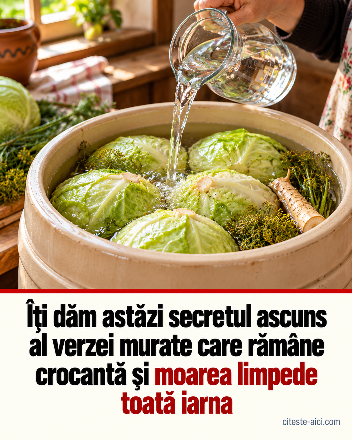 Varză murată crocantă: ce contează cu adevărat pentru o moare bună — ilustrație editorială