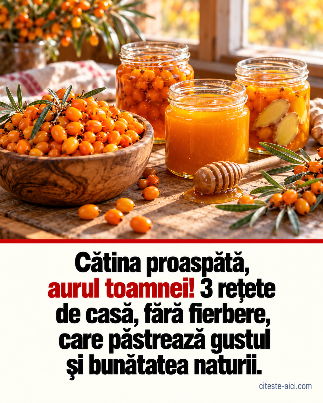 Cătină fără fierbere: trei variante de casă și regula de păstrare pe care să nu o sari — ilustrație editorială