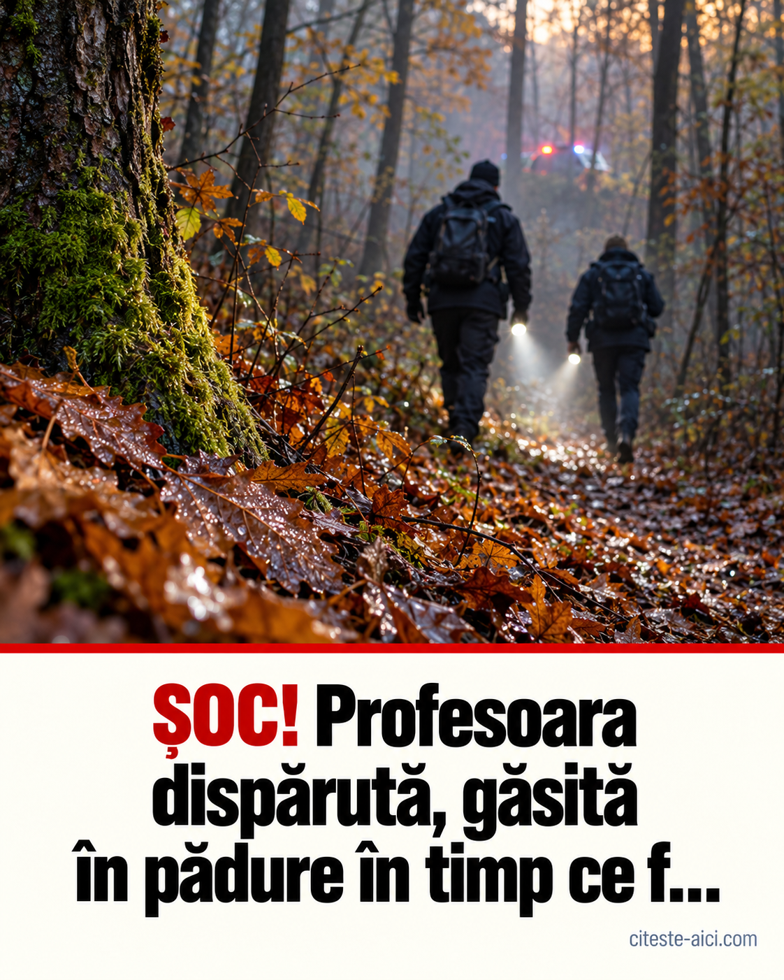 Profesoara dispărută din Sebiș a fost găsită în viață. Apelul care a ajutat la localizare — ilustrație editorială