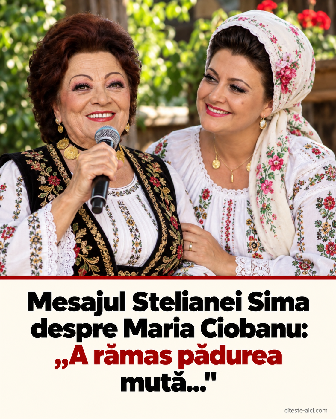 „A rămas pădurea mută”: mesajul Stelianei Sima este despre vocea Mariei Ciobanu și revenirea la muzică — imagine ilustrativă